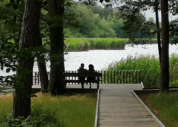 Holiday home De La Libellule Commentry